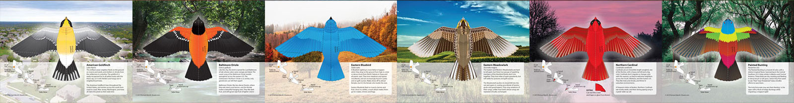 a row of bird images